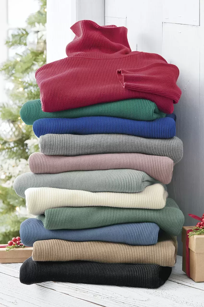 Ribbed Turtleneck Sweater