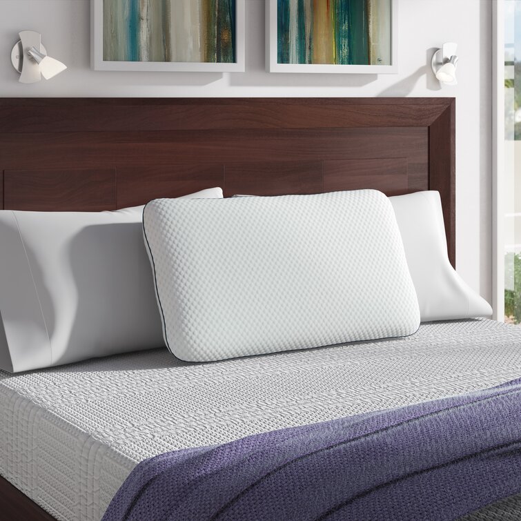 Wayfair Sleep? Memory Foam Medium Support Pillow