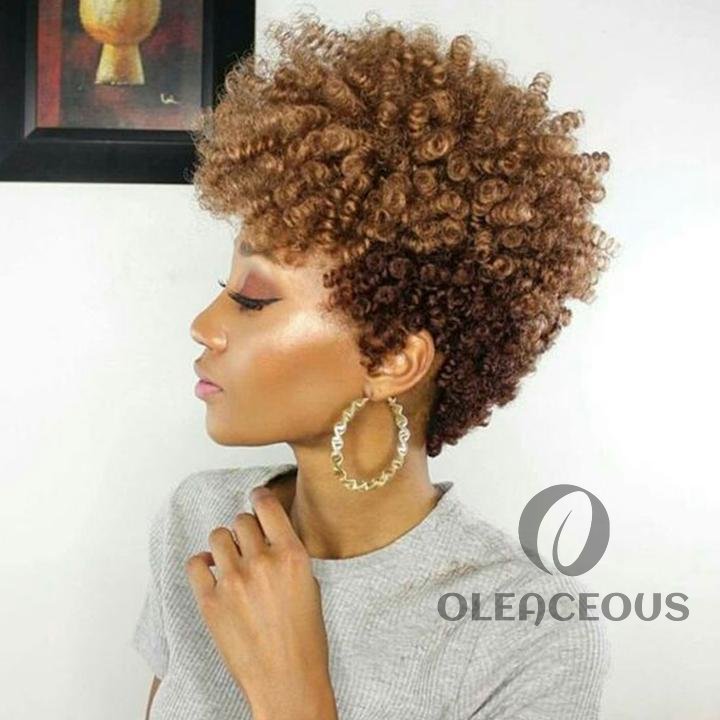 Sassy African American Short Spiral Curly Wig for Black Women