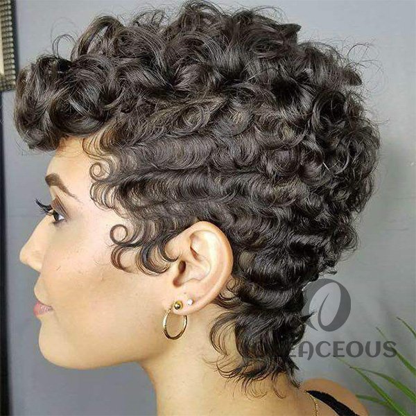 2026 Hot Sale Pixie Cut Hair Short Curly Wig