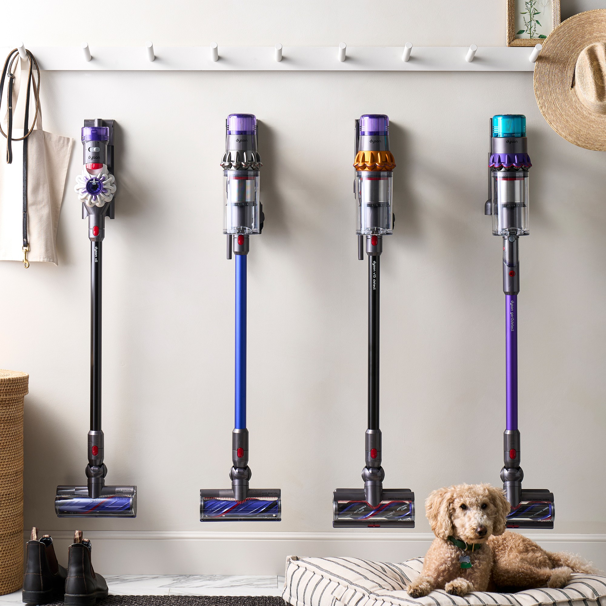 Dyson v15 Detect Vacuum