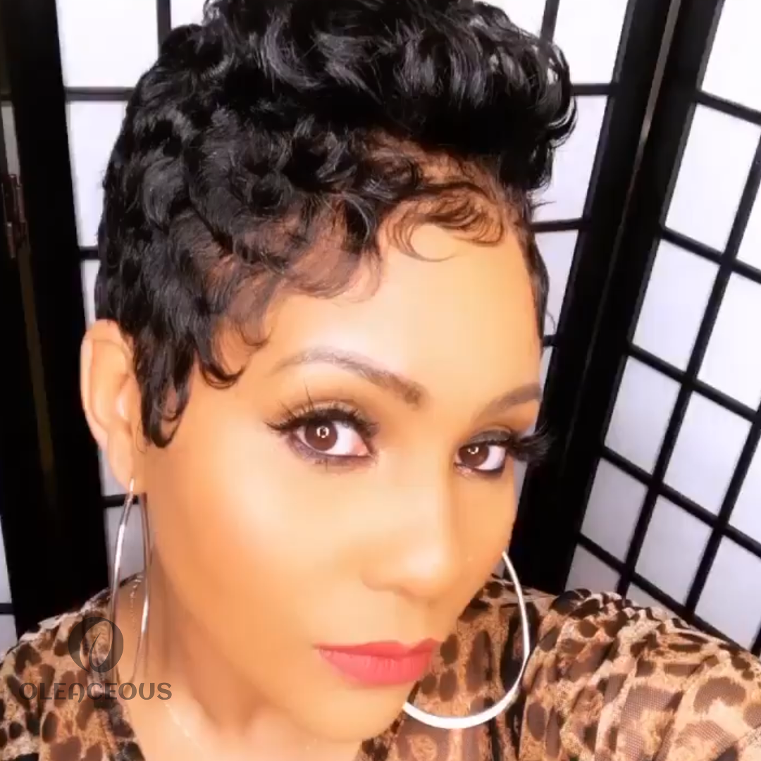 2026 Best Design Short Curly Wig  Wigs