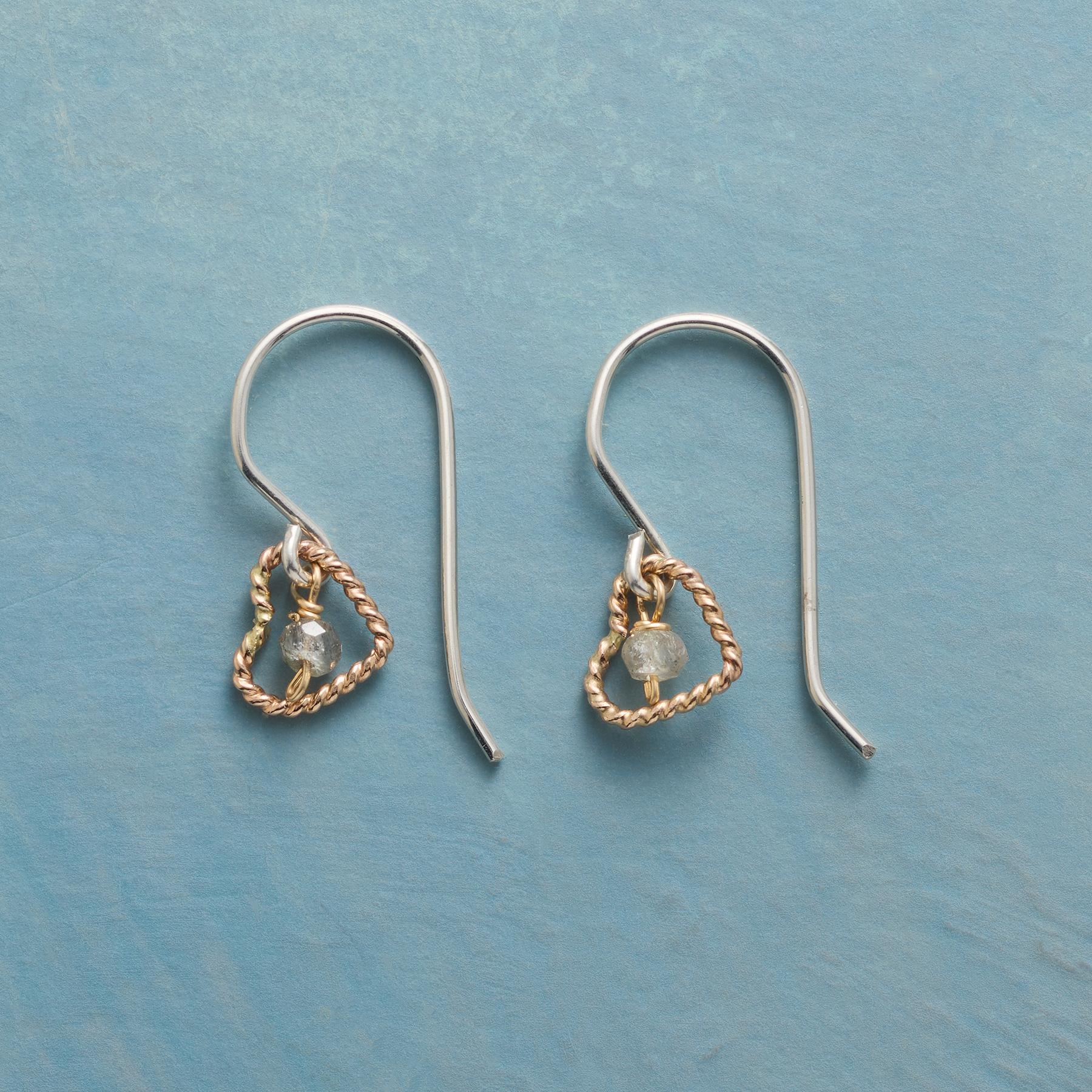 Surrounded By Love Earrings