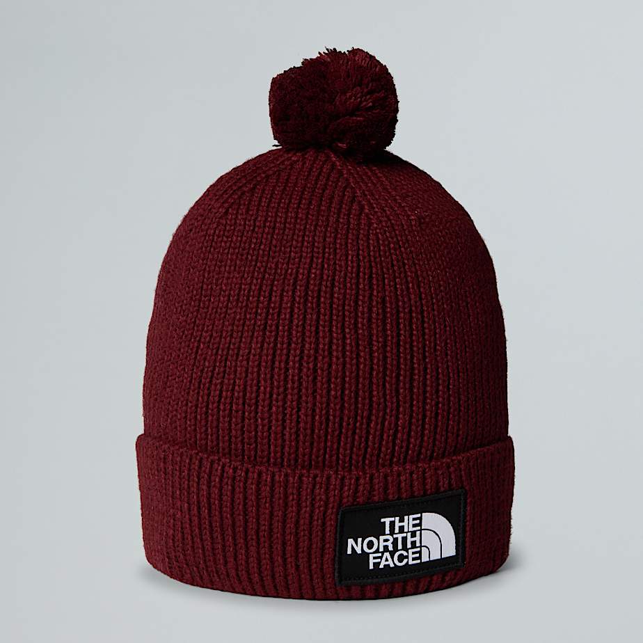 TNF Logo Box Pom Beanie