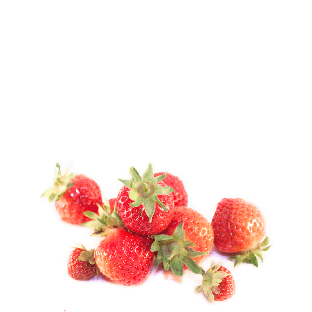 Wild Strawberry Plant Seeds – Sweet Alpine Variety