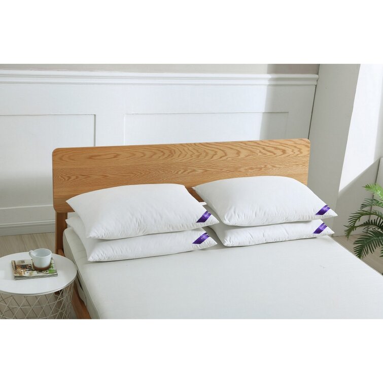 Astra Feathers Plush Pillow