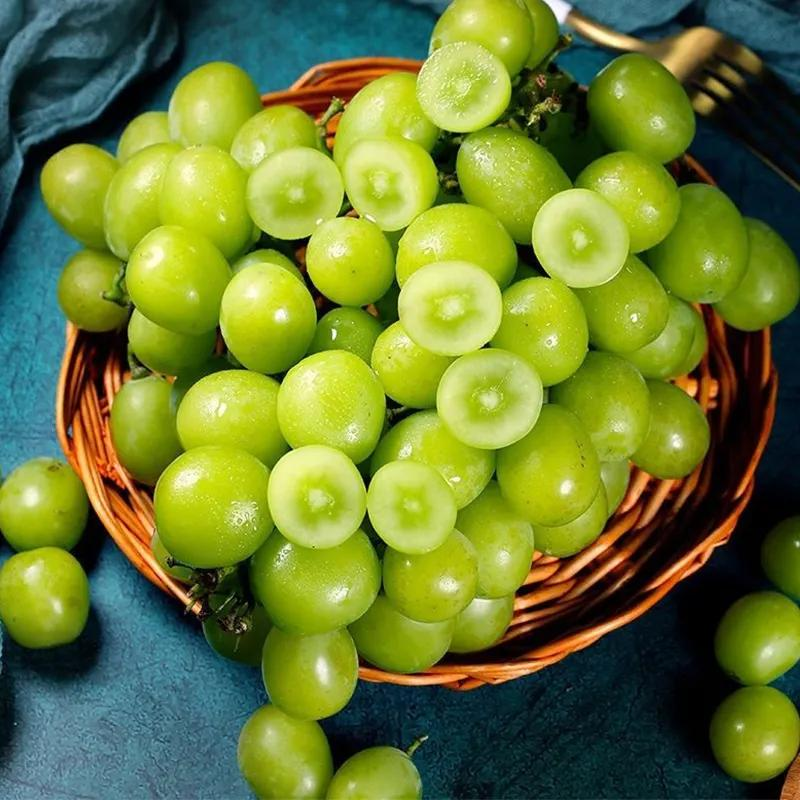 Shine Muscat Tree Seeds-Sunshine Rose Grape(🪴Can be potted)