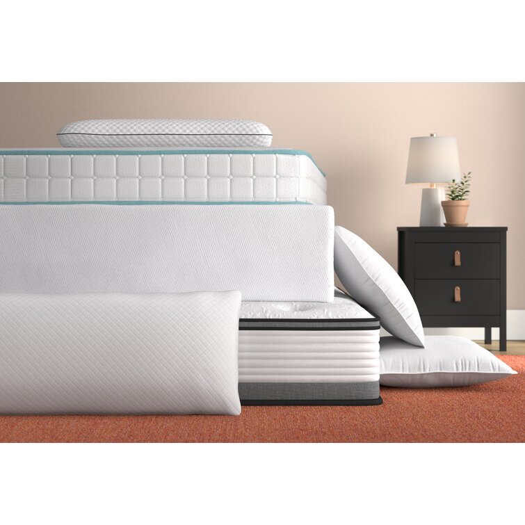 Wayfair Sleep? Polyester Plush Support Pillow