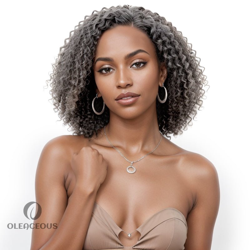 Salt & Pepper Grey Hair Deep Curly HD 13x4 Lace Front Wig