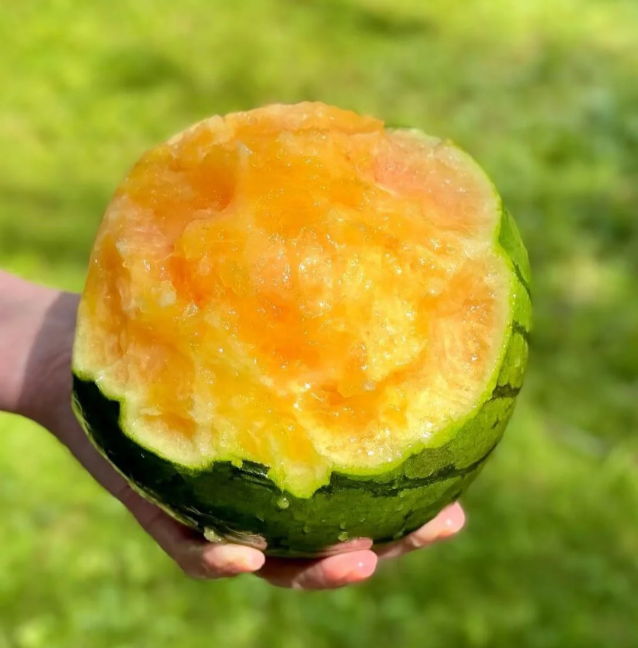 Yellow Heart Ice Cream Watermelon Seeds