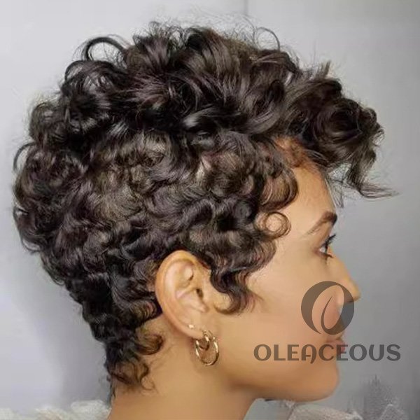 2026 Hot Sale Pixie Cut Hair Short Curly Wig