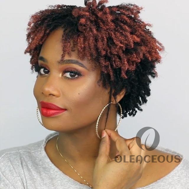 Best Design Africa Spiral Natural Short Curly Wig