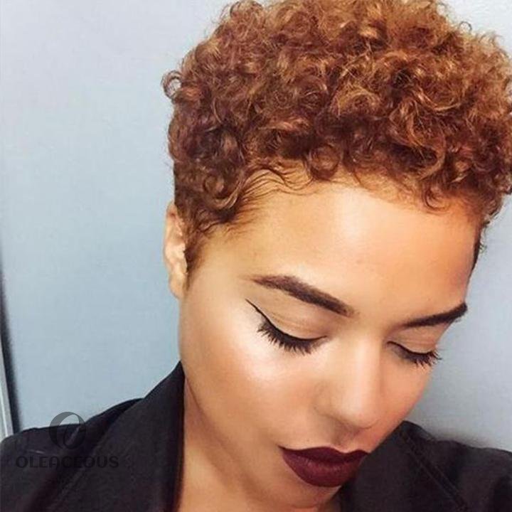 Women Afro Short Curly Hair Wig without Bangs