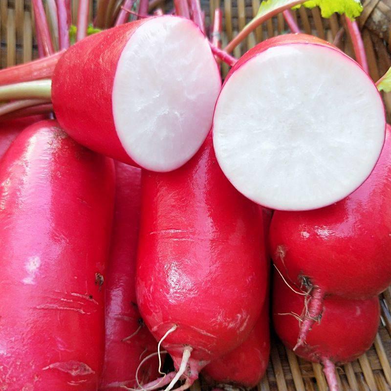 Thumb Fruit Radish Seeds