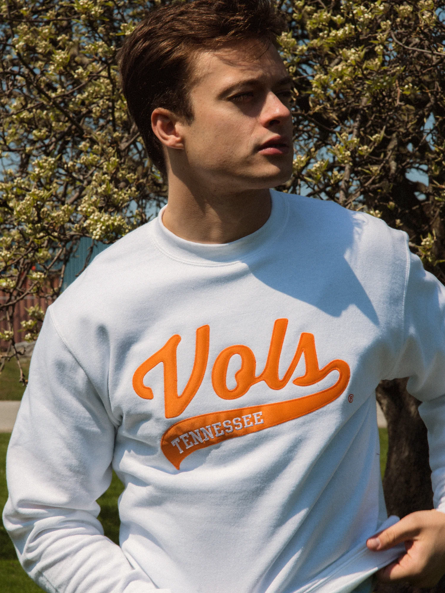 Final inventoryCHAMPION TENNESEE CREWNECK