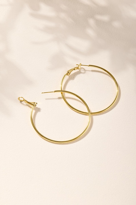 Emily Stainless Steel Gold Hoop Earrings