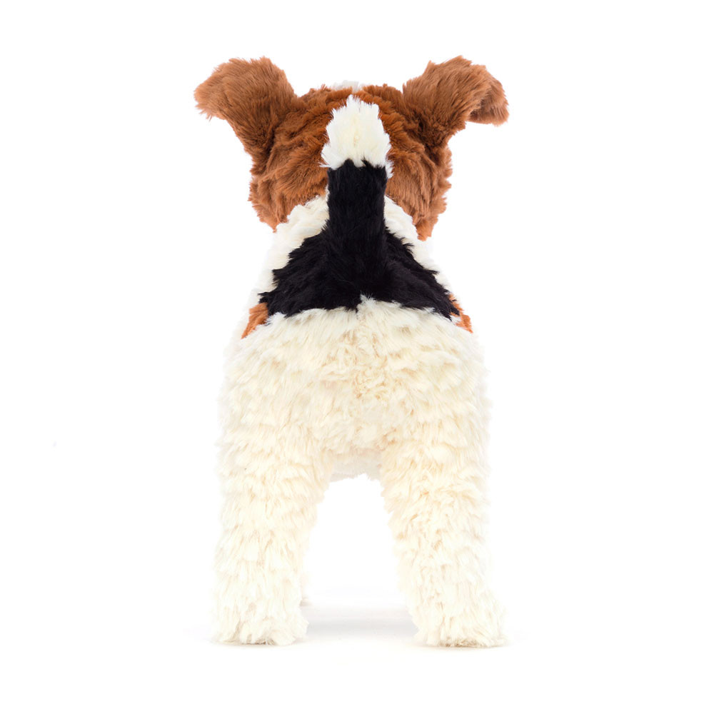 Wire Fox Terrier