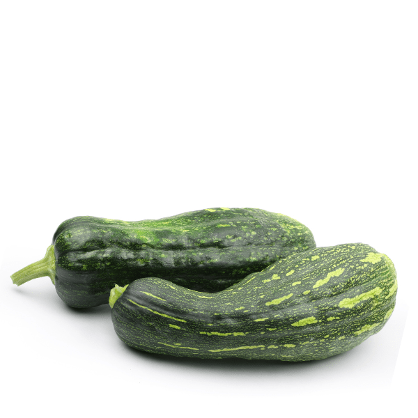 Pumpkin Naples Squash Seeds – Long Fruit, Sweet Flesh & High Yield