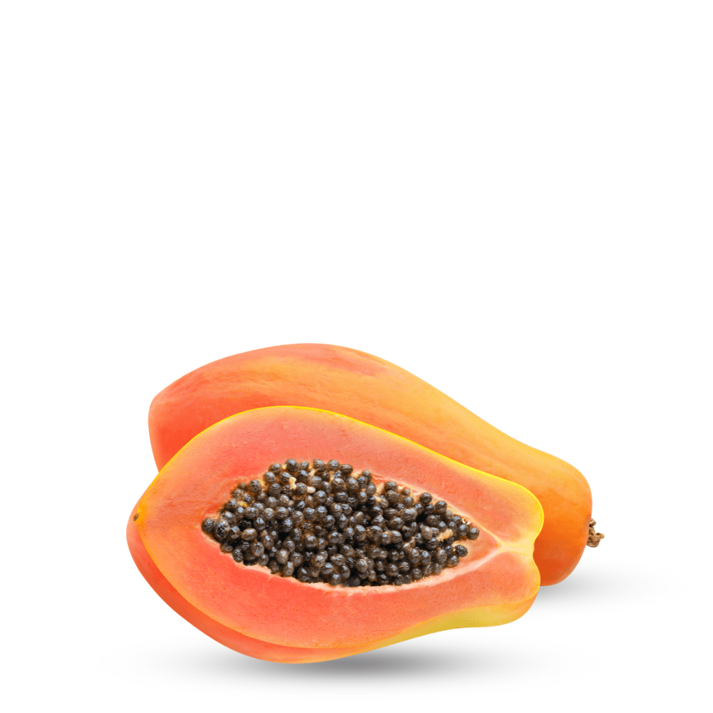 Papaya (Carica papaya) Tree Seeds – Tropical Fruit Plant