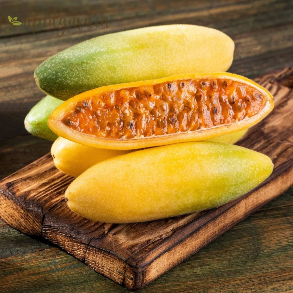 🍌Rare Banana Passion Fruit Seeds