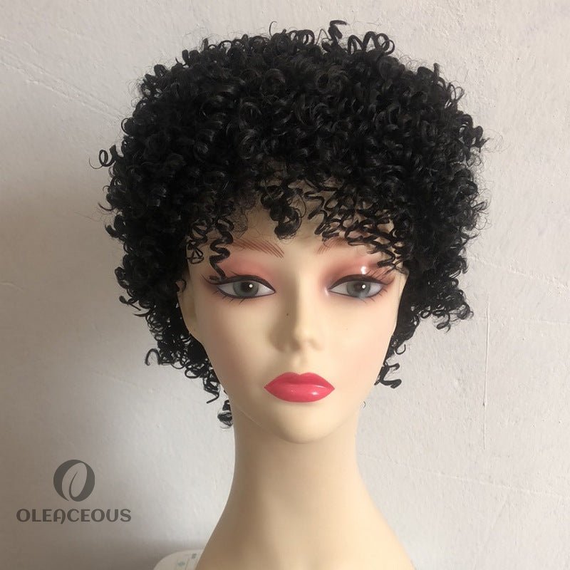 -Short Afro Kinky Curly Wigs for Black Women