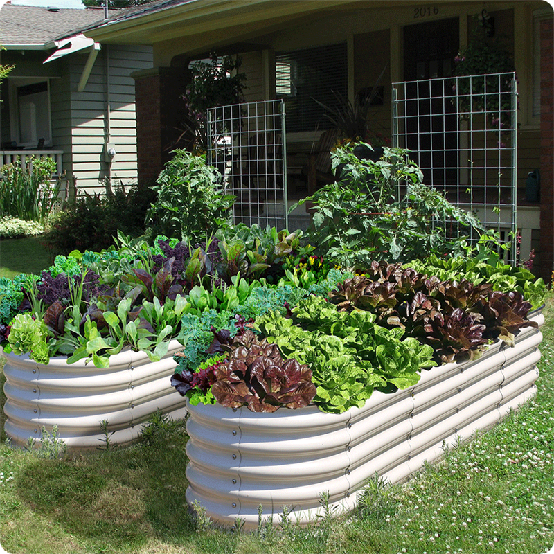 Metal Raised Garden Beds