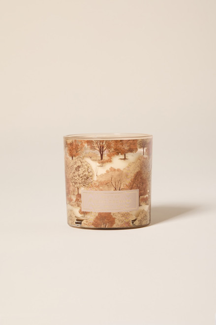 DW Home Rustic Orchard Scented Candle Jar 13oz