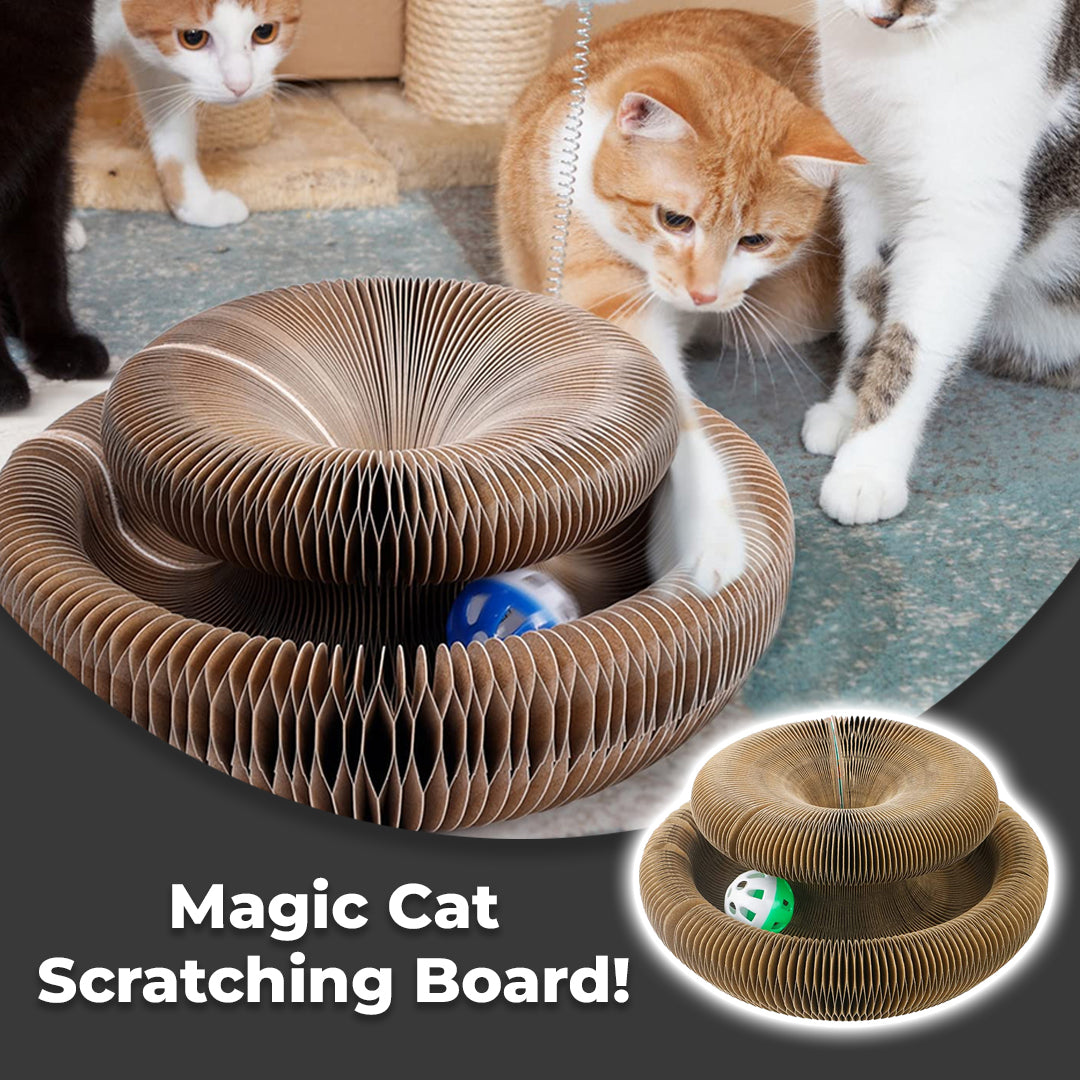 [ Last Day Promotion 60% OFF ] ⚡ Magic Cat Scratching Board 🔥
