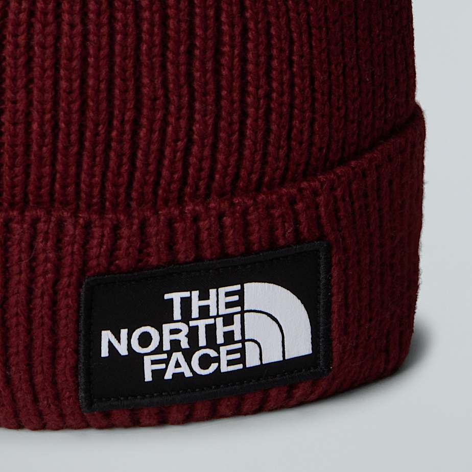TNF Logo Box Pom Beanie