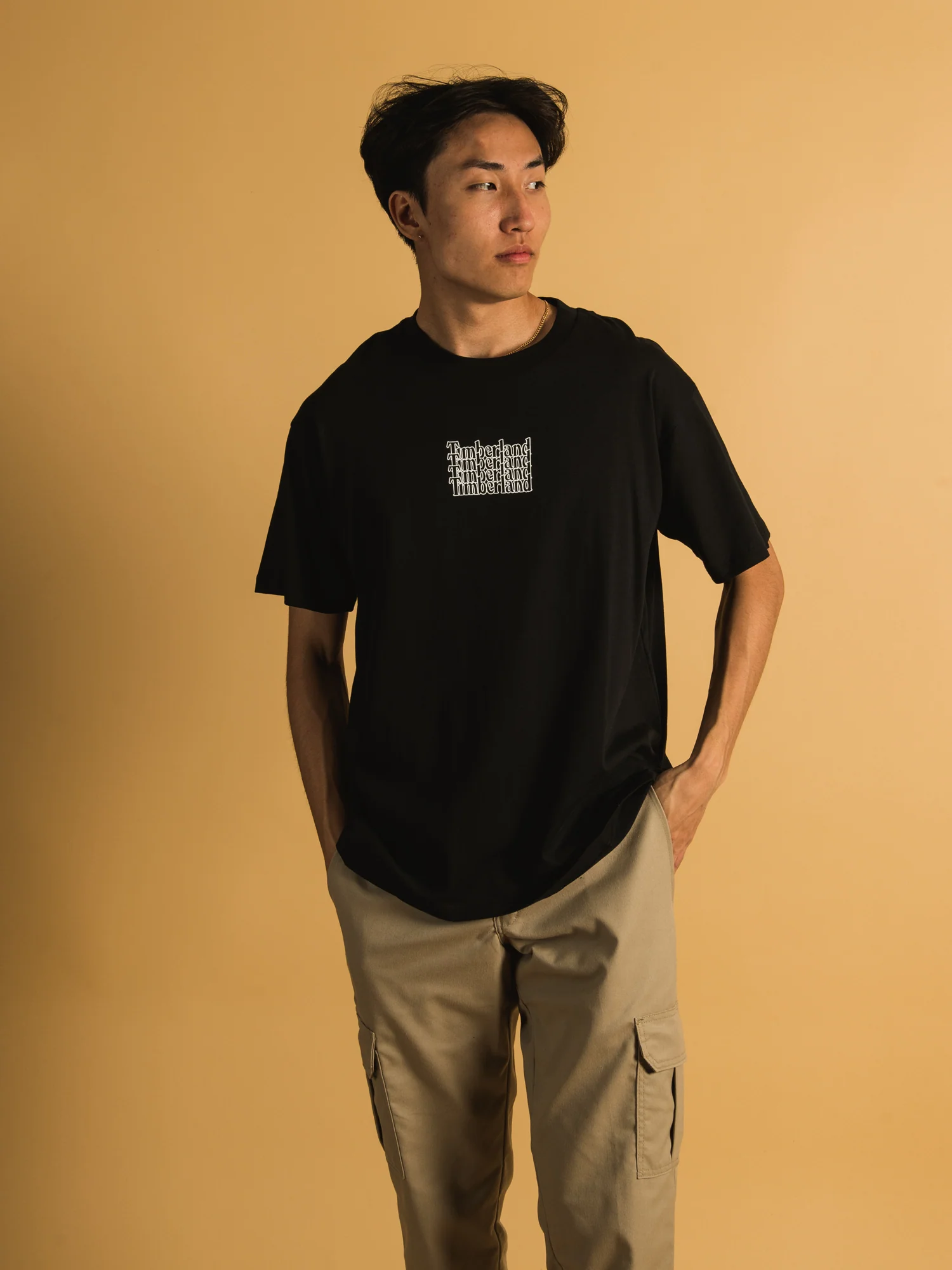 TIMBERLAND BACK TREE & LINEAR SHORT SLEEVE LOGO T-SHIRT