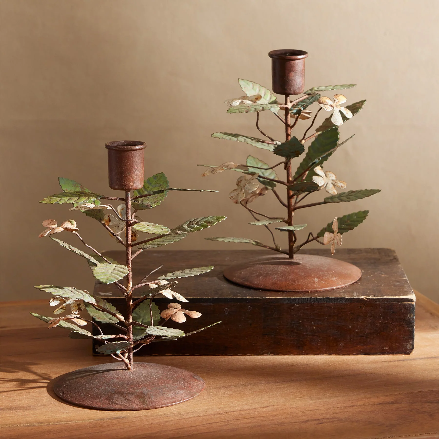 Bloom With Light Candleholder Set