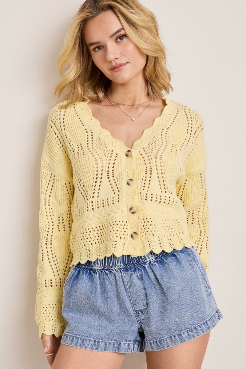 Amy Pointelle Button Down Cardigan