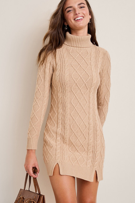 Ella Turtle Neck Mini Sweater Dress