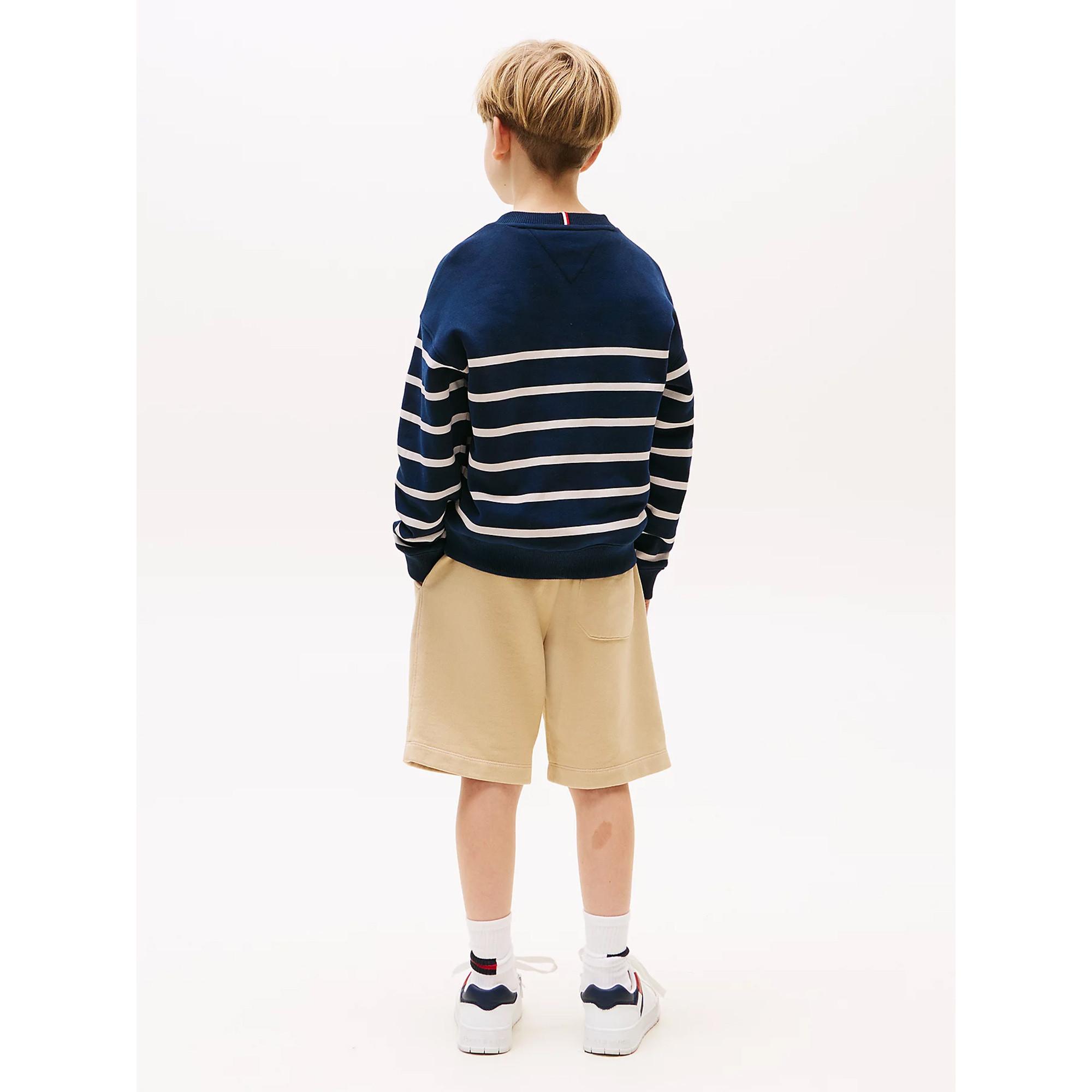 TOMMY HILFIGER Pullover