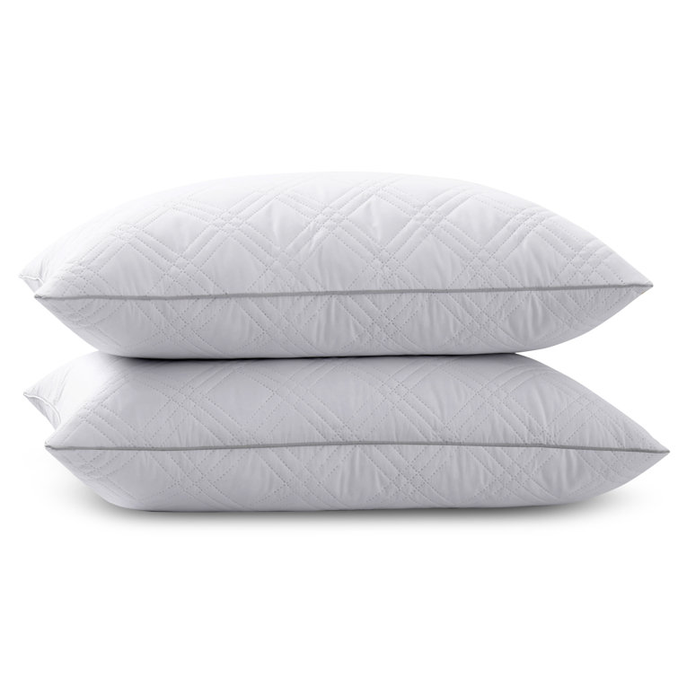 Cotesfield Plush Pillow