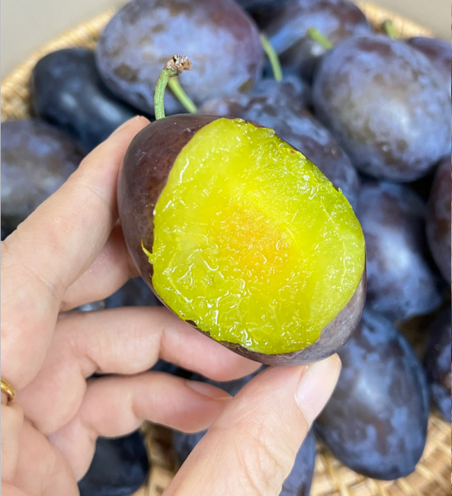 Prune Plum Trees Seeds
