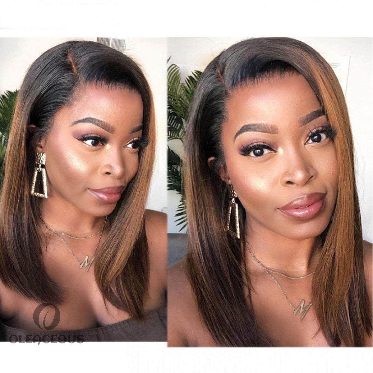 Black Gradient Dark Brown Brazilian Straight Hair BOB Wigs Lady Wig