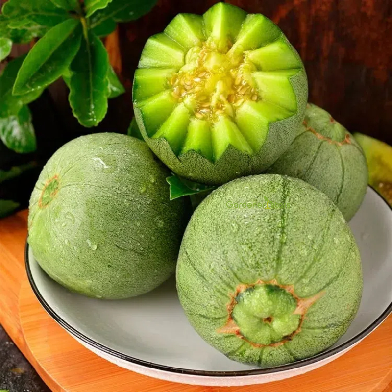 Emerald Melon Seeds