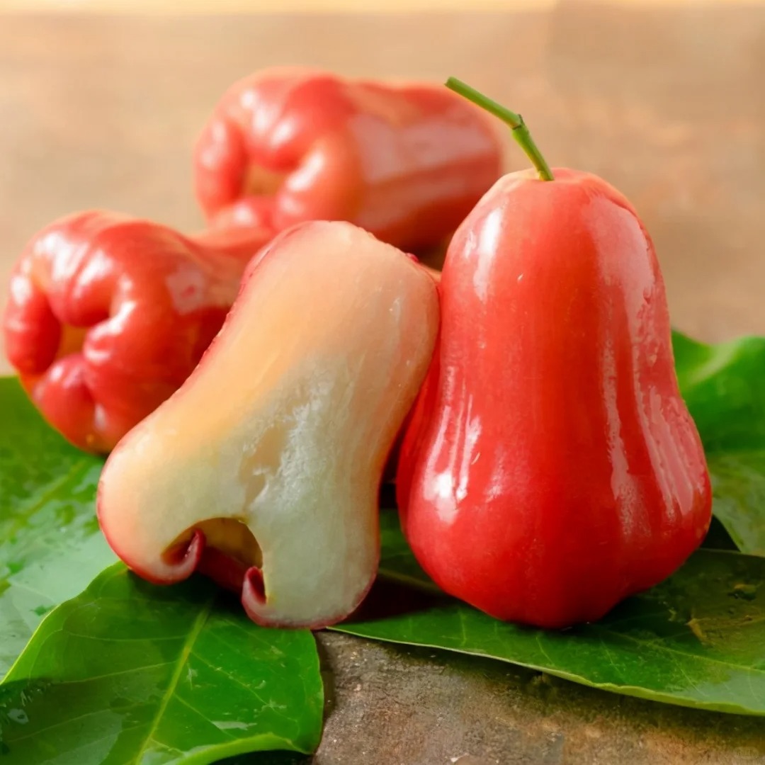 Wax-apple Fruit Seeds🍹