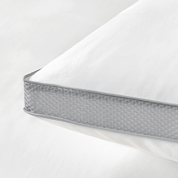 Rexford Plush Pillow