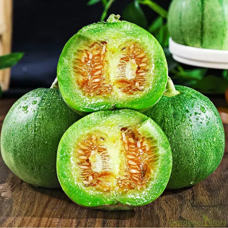 Emerald Melon Seeds