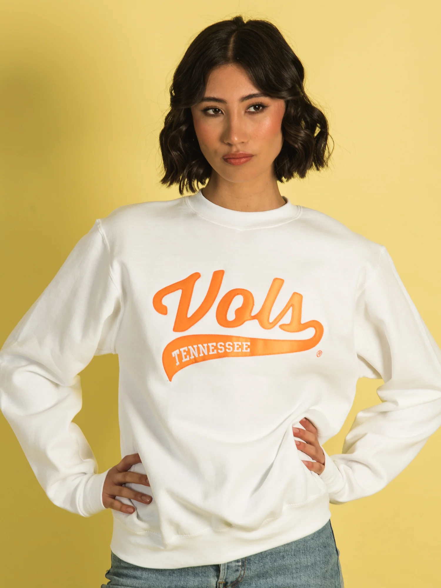 Final inventoryCHAMPION TENNESEE CREWNECK