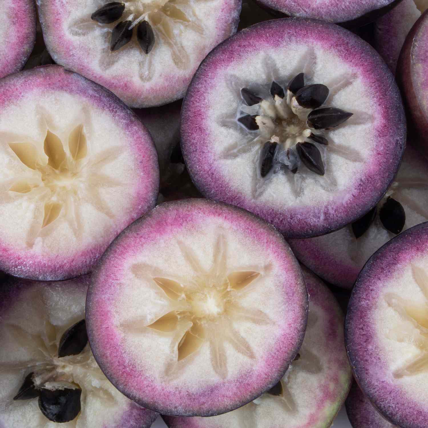 Star Apple Seeds