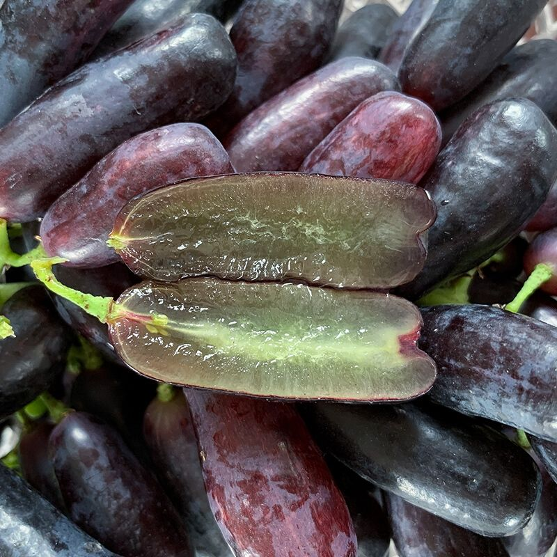 Sapphire Grapes Seeds