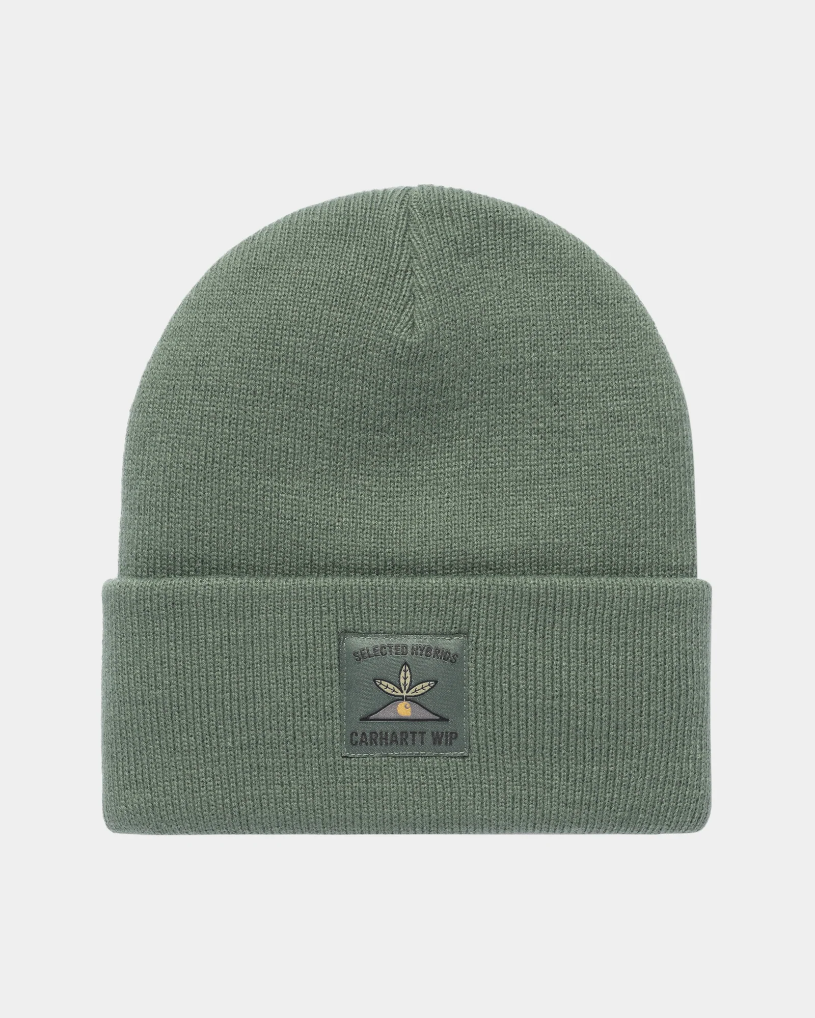 Final inventoryField Beanie | Park