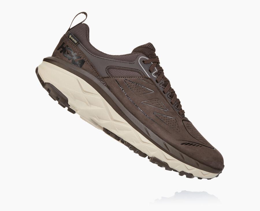Men's Challenger Low GORE-TEX