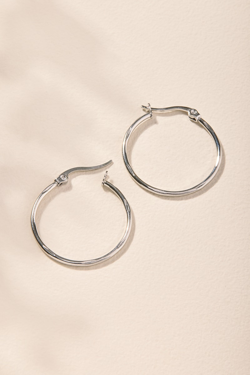 Carol Stainless Steel Clasp Hoop Earrings