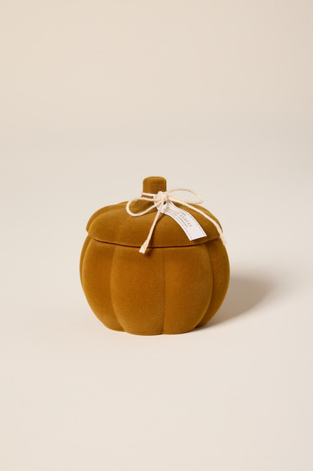 Flocked Pumpkin Scented Candle Jar 13oz