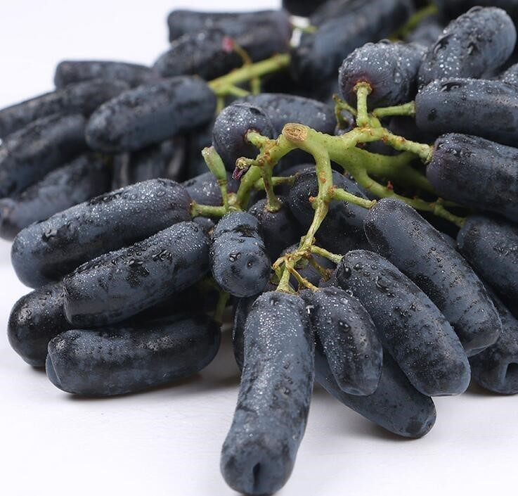 Thumb Black Grape Seeds 🍇