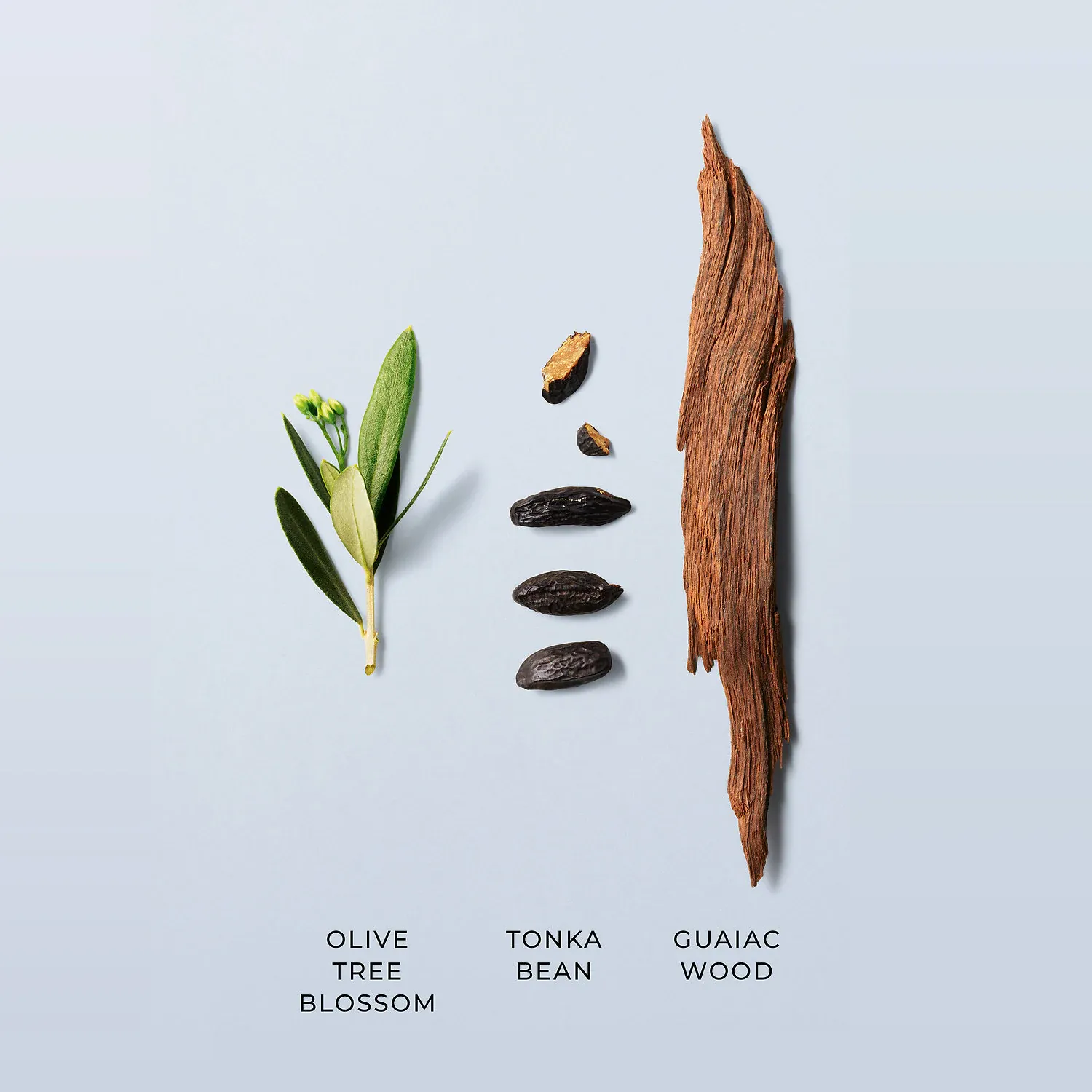 Bath & Body Works Beauty Body Wash & Shower Gel